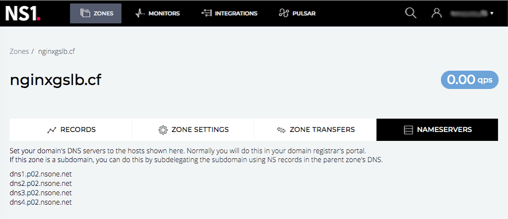Screenshot of NS1 GUI: NAMESERVERS page