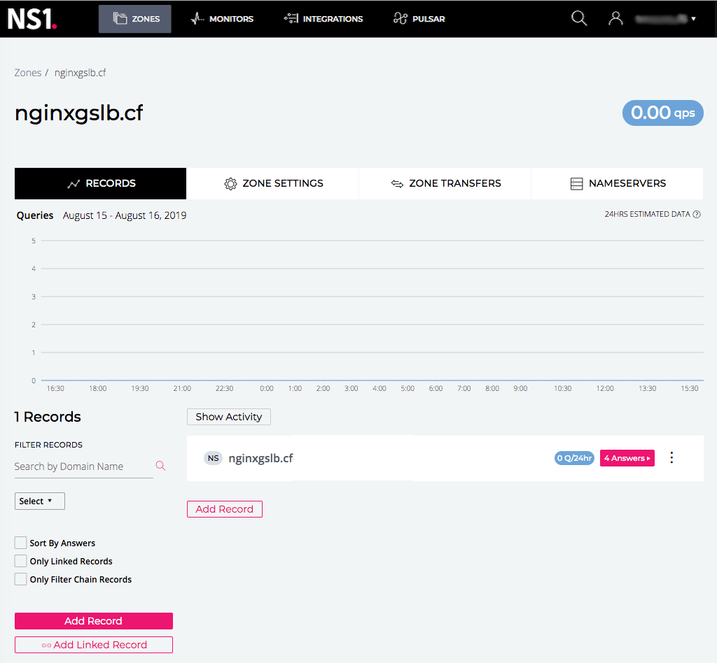 Screenshot of NS1 GUI: RECORDS page
